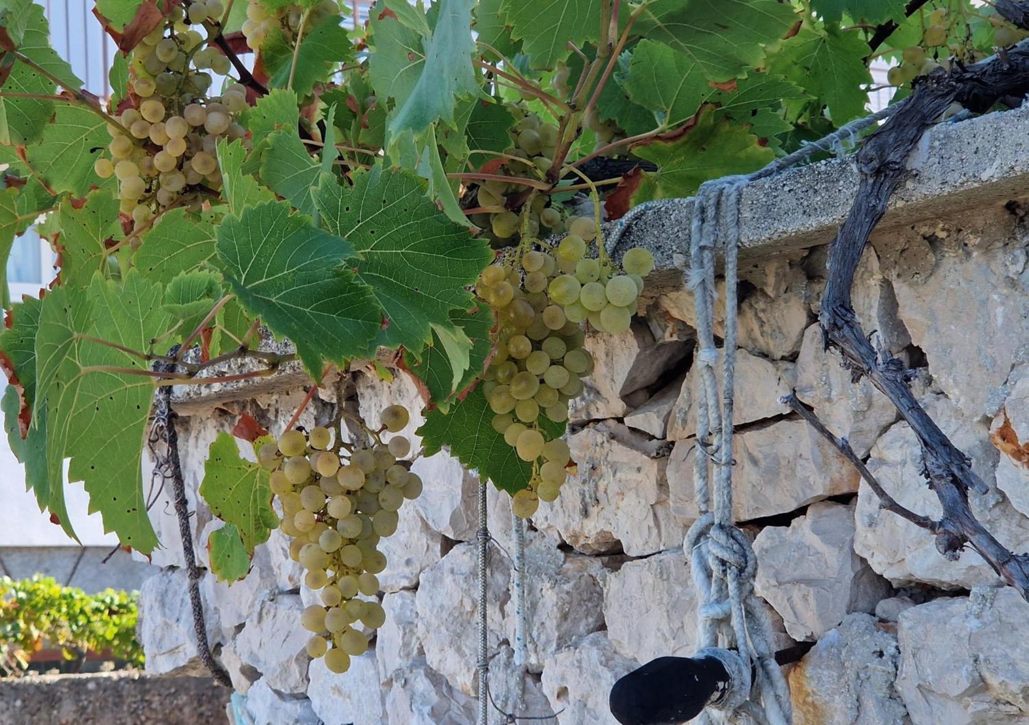 Villa Perla Rogoznica  Εξωτερικό φωτογραφία